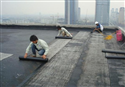 Kinh nghiệm chống thấm sàn mái sân thượng hay sàn vệ sinh bị nứt bằng kova hiệu quả nhất
